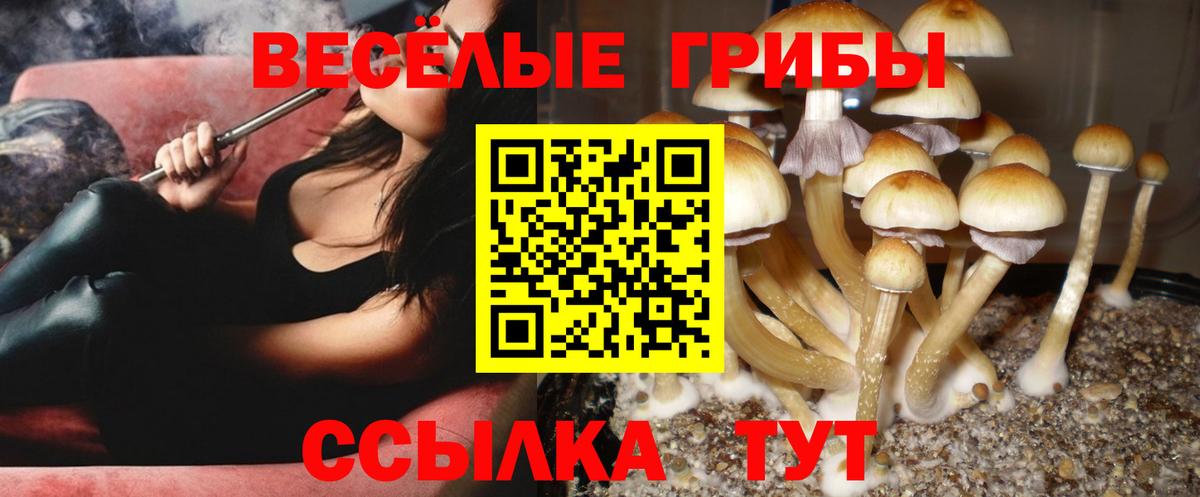 Братск  Галлюциногенные грибы ЛСД  Вход с VPN 